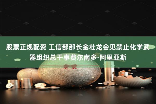 股票正规配资 工信部部长金壮龙会见禁止化学武器组织总干事费尔南多·阿里亚斯